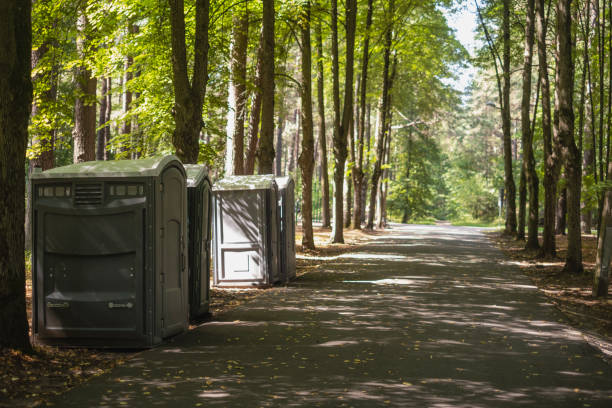 Best Luxury portable toilet rental  in Pheasant Run, OH